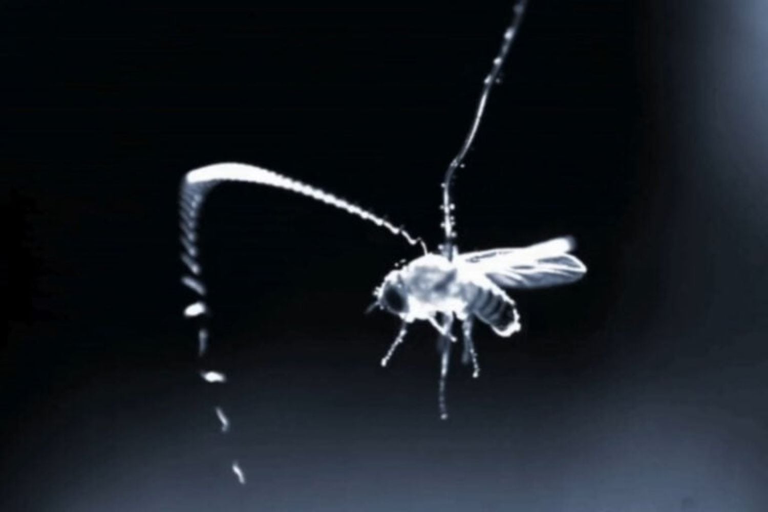 Diseño Sin Título 2025 10 24t104225.898