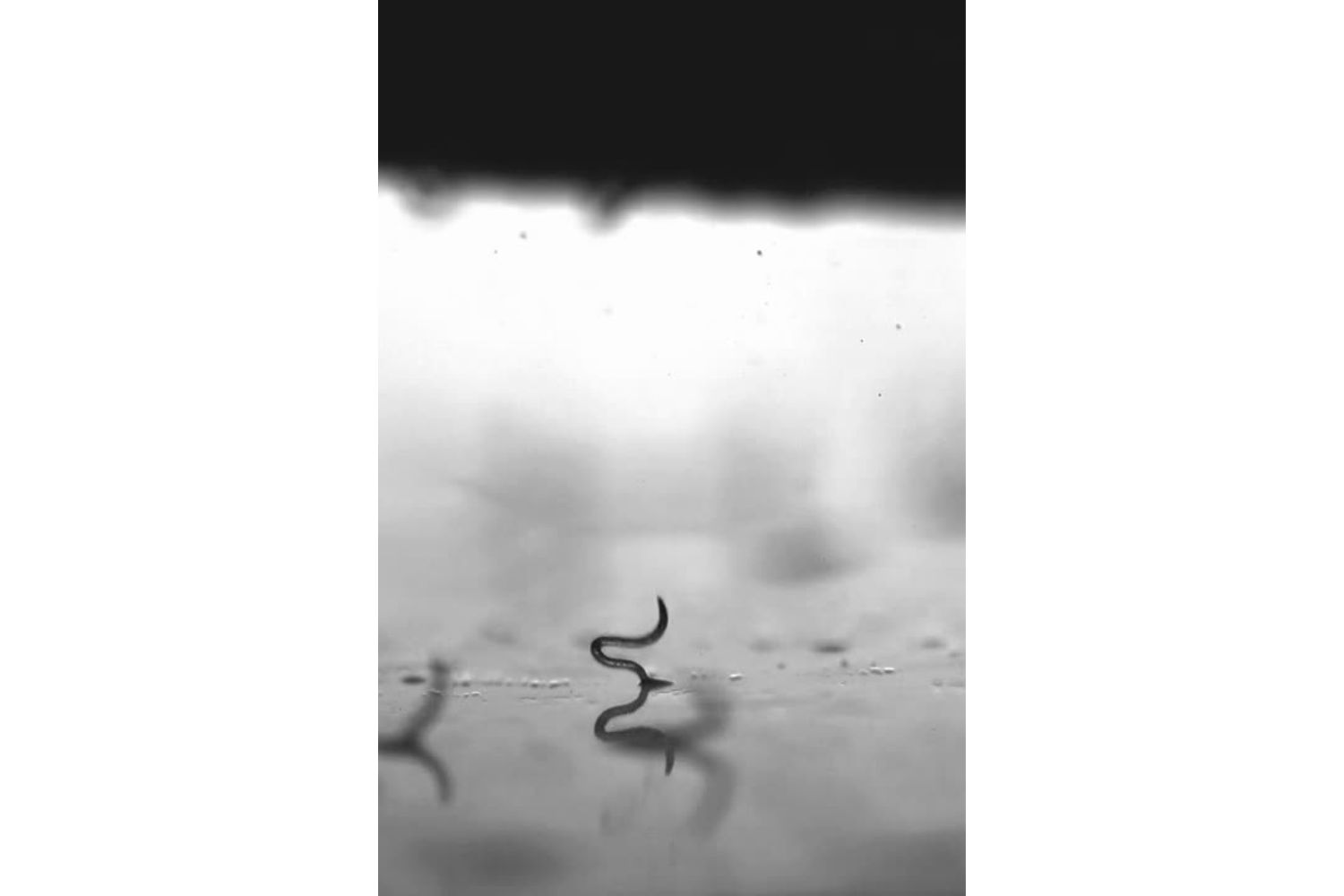 Diseño Sin Título 2025 10 24t104502.393