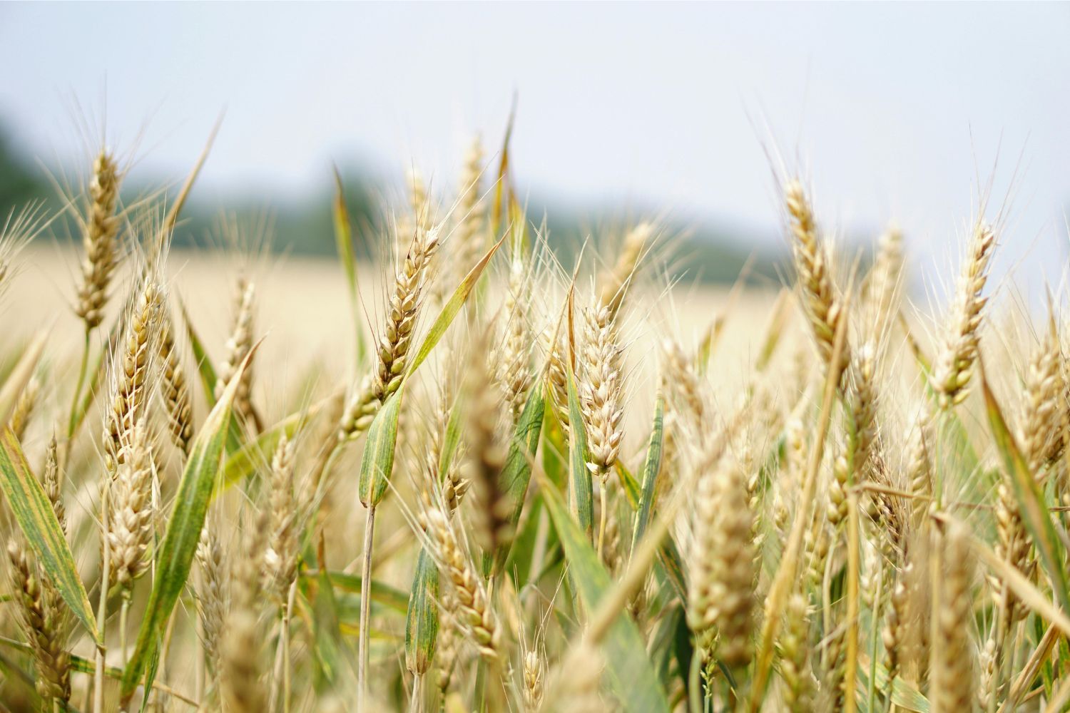 Diseño Sin Título 2025 10 24t162537.287