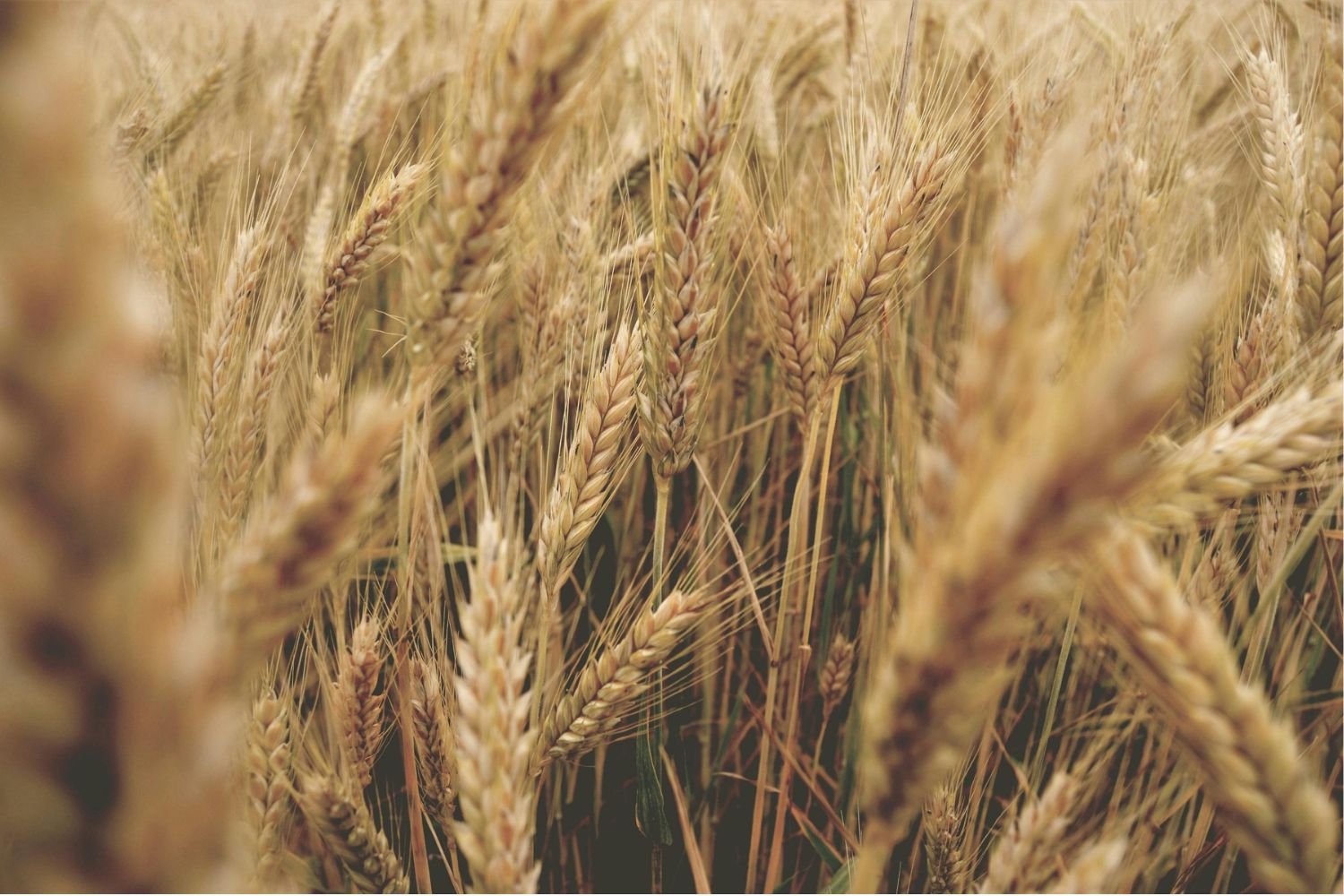 Diseño Sin Título 2025 10 24t162757.320