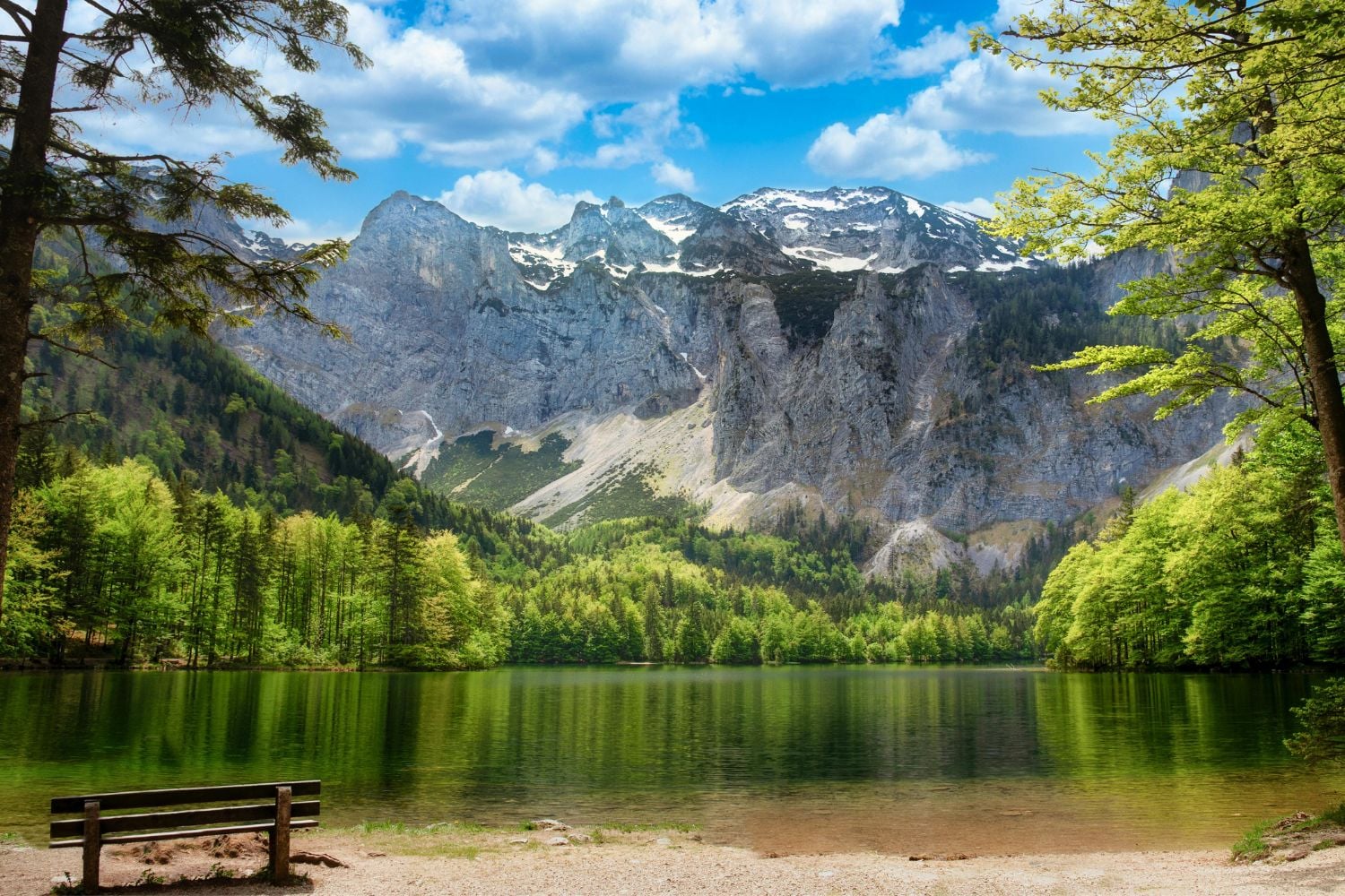 Diseño Sin Título 2025 10 30t112551.660