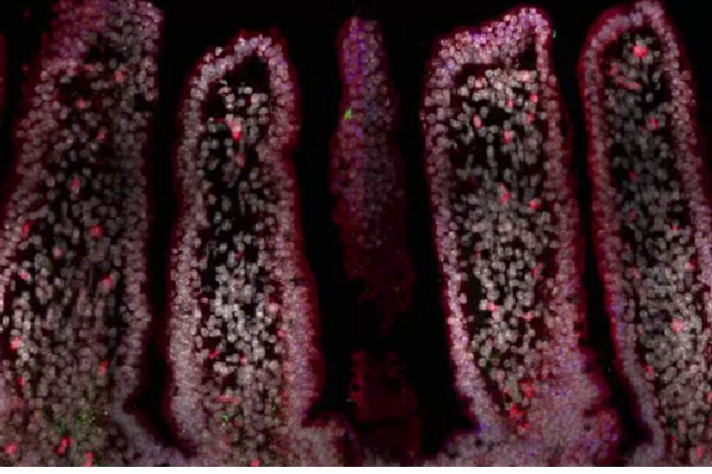 Diseño Sin Título 2025 10 30t114926.868