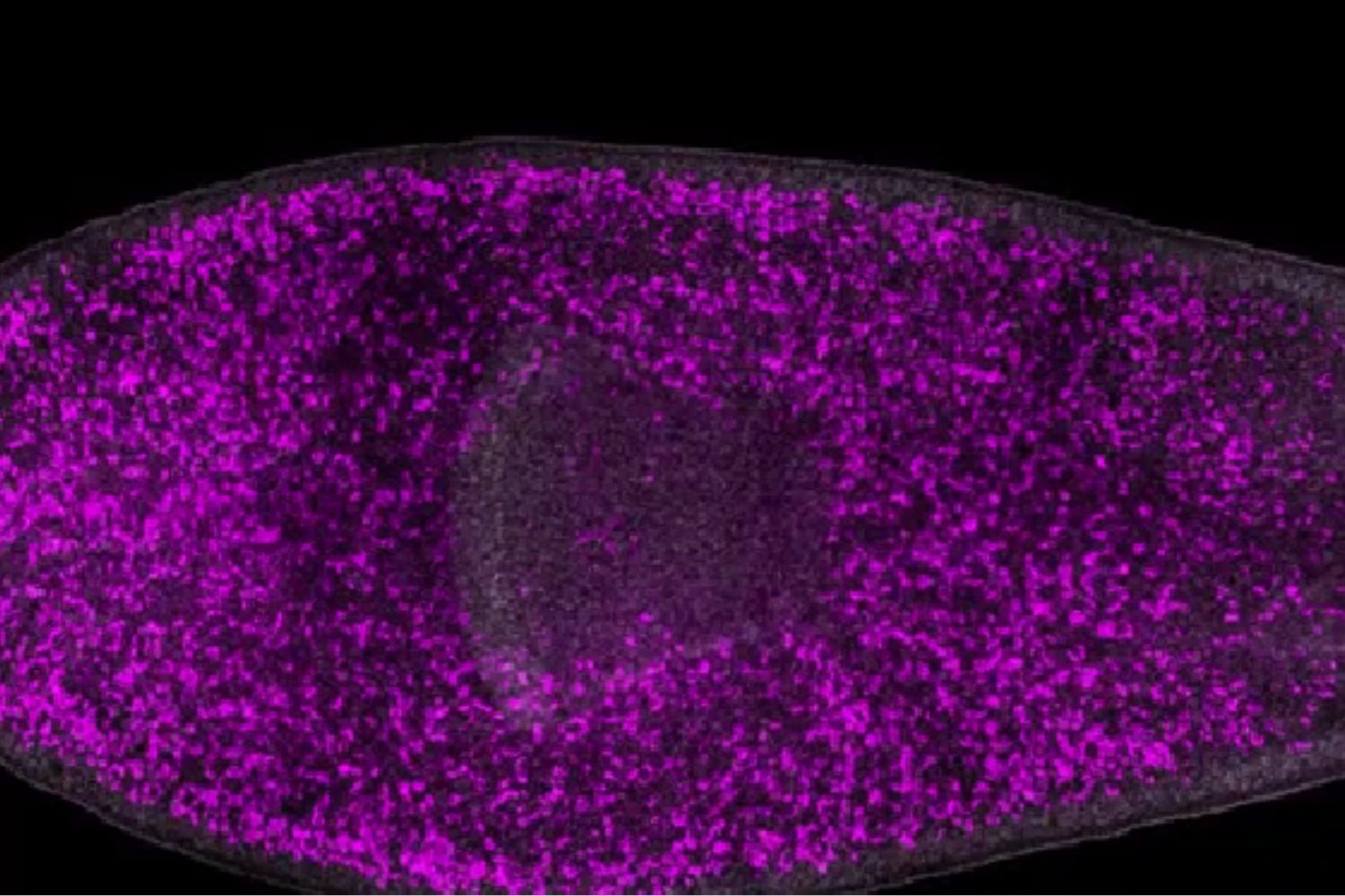 Diseño Sin Título 2025 10 30t115036.458