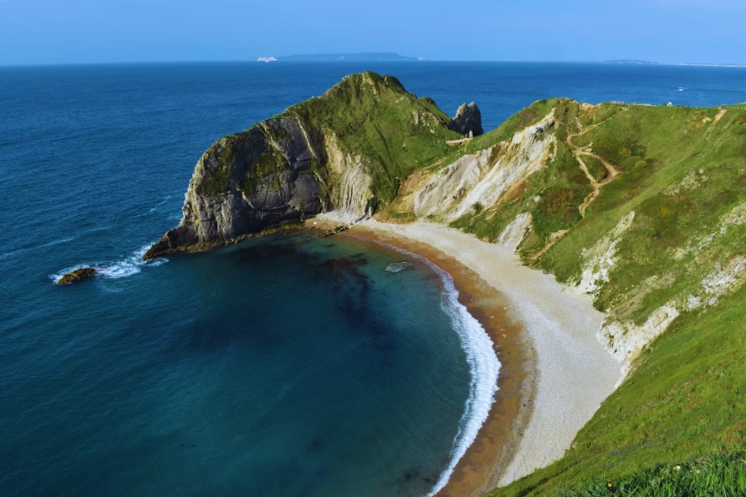 Los pulpos conquistan la costa de Inglaterra: cambio climático, bonanza pesquera y un futuro incierto para los mariscos
