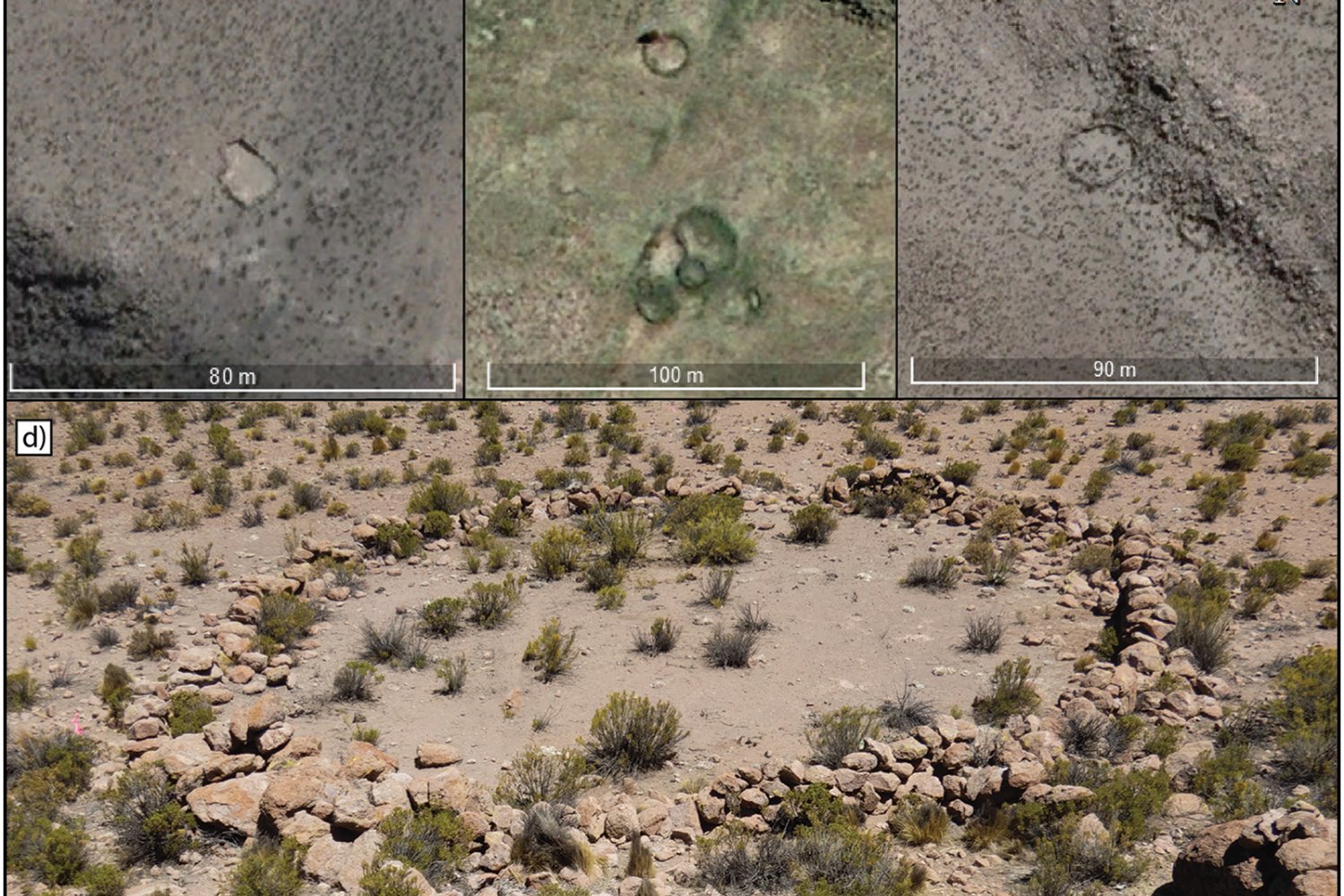 Los satélites detectaron 76 estructuras misteriosas en los Andes. Ahora sabemos que los antiguos cazadores las usaron para atrapar vicuñas