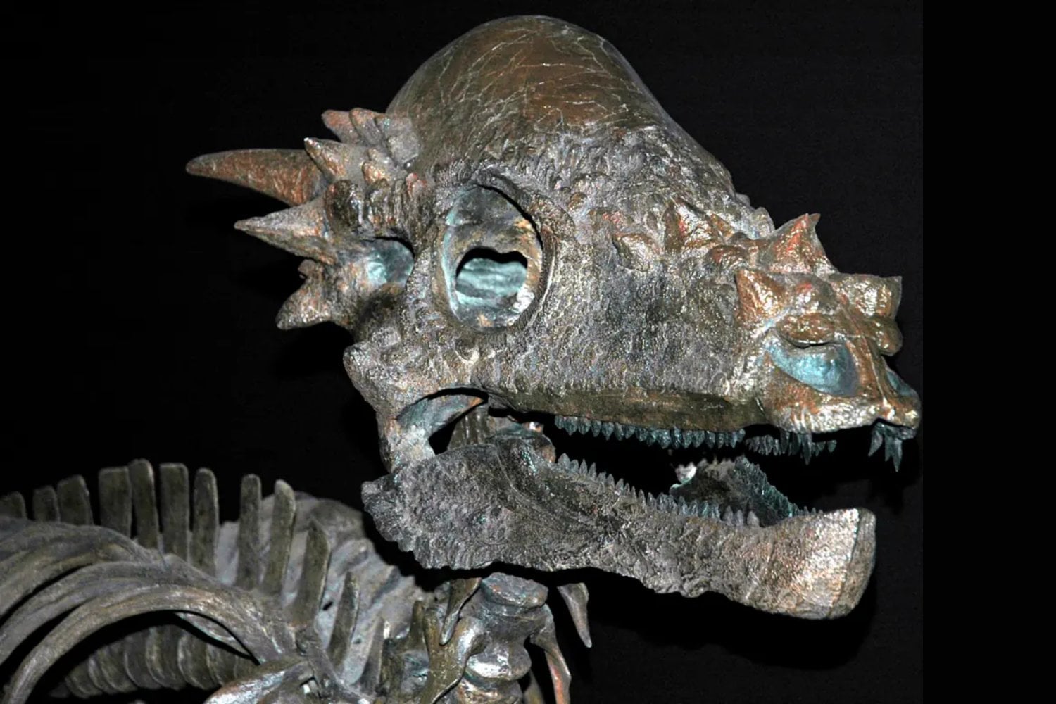 Entre las arenas del Gobi apareció un dinosaurio imposible. Su cráneo juvenil está reescribiendo 100 millones de años de historia
