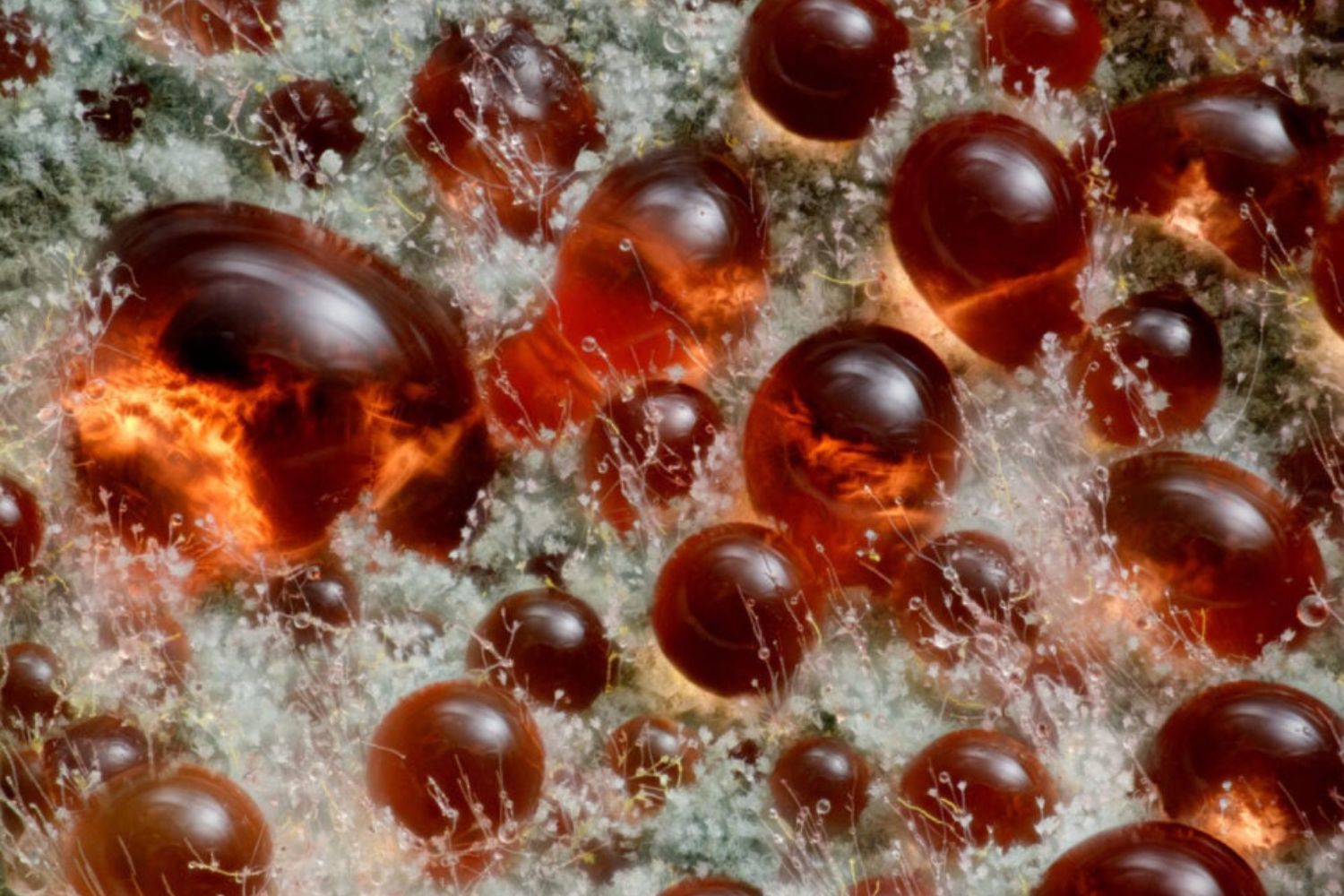 Diseño Sin Título (24)