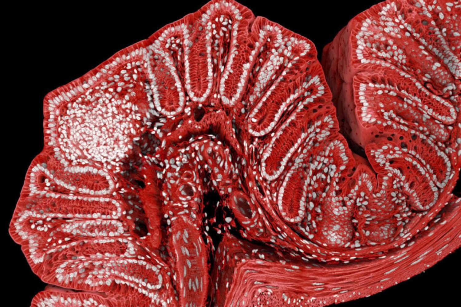 Diseño Sin Título (25)