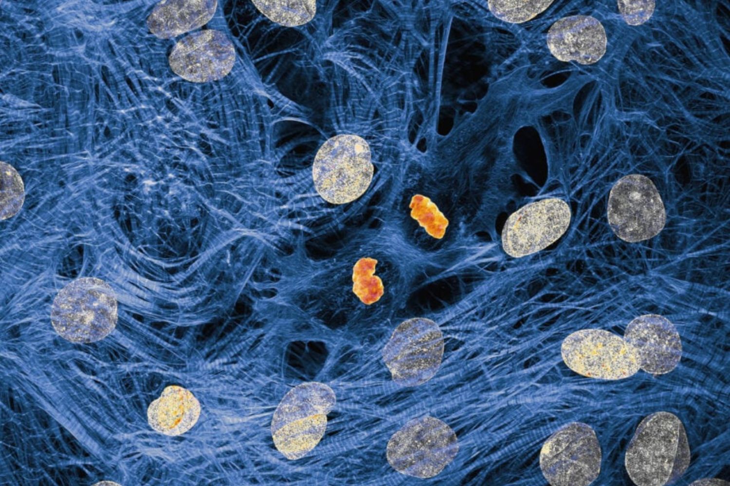 Diseño Sin Título (26)