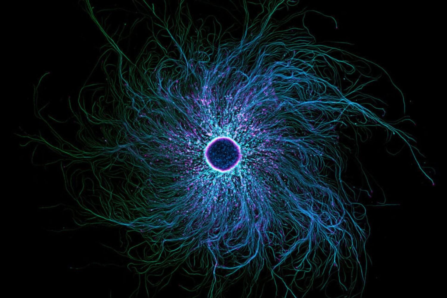 Diseño Sin Título (27)