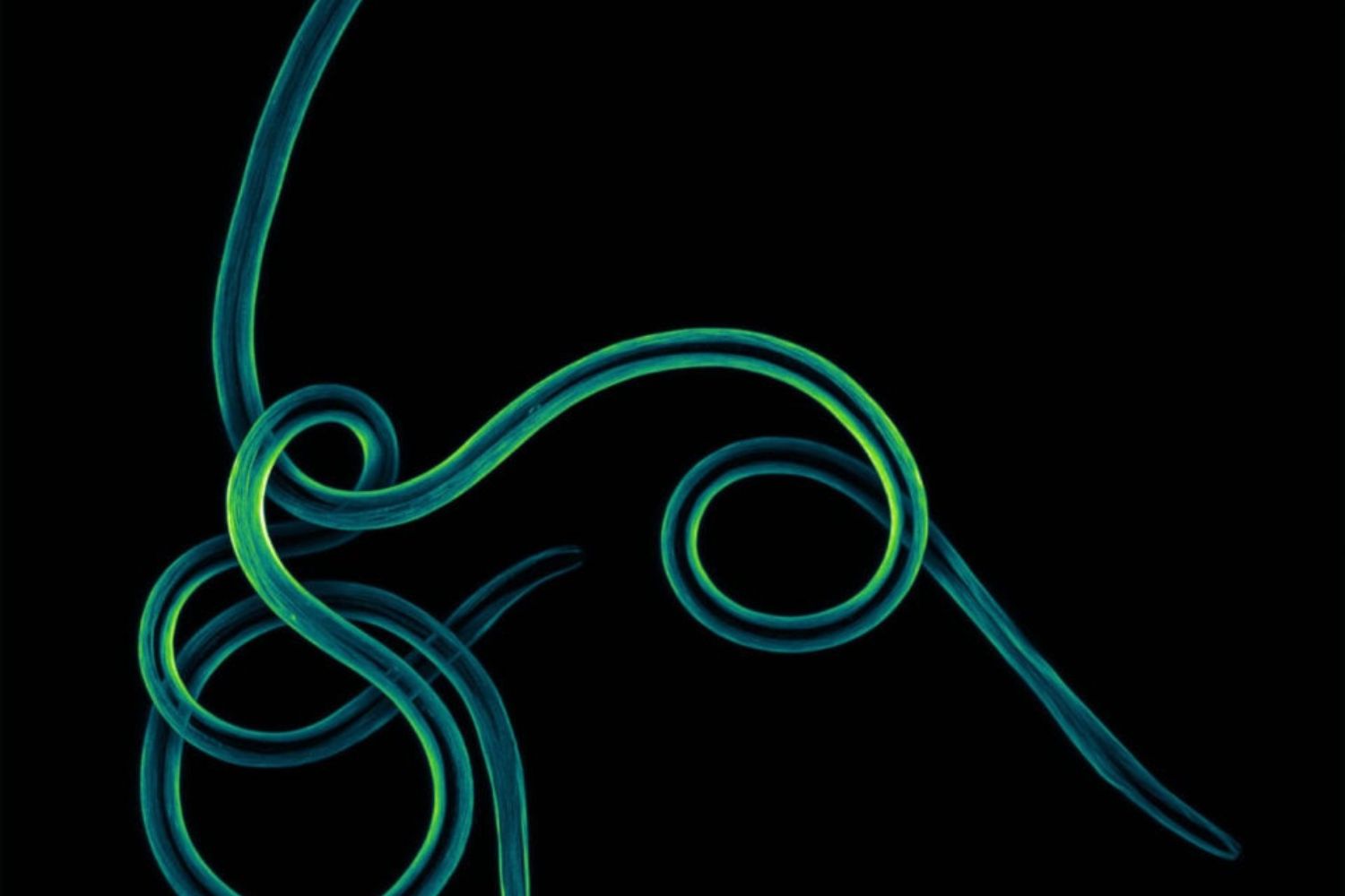 Diseño Sin Título (28)