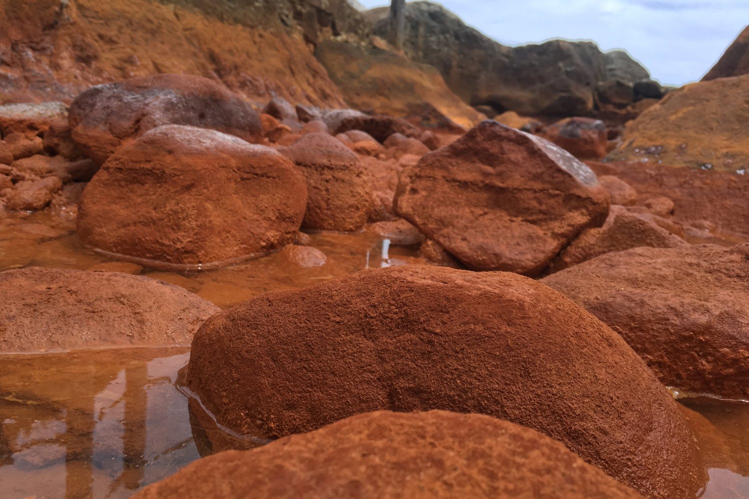 Descubren en Japón manantiales que recrean la Tierra primitiva. Ecosistemas que funcionan igual que hace más de 2.300 millones de años