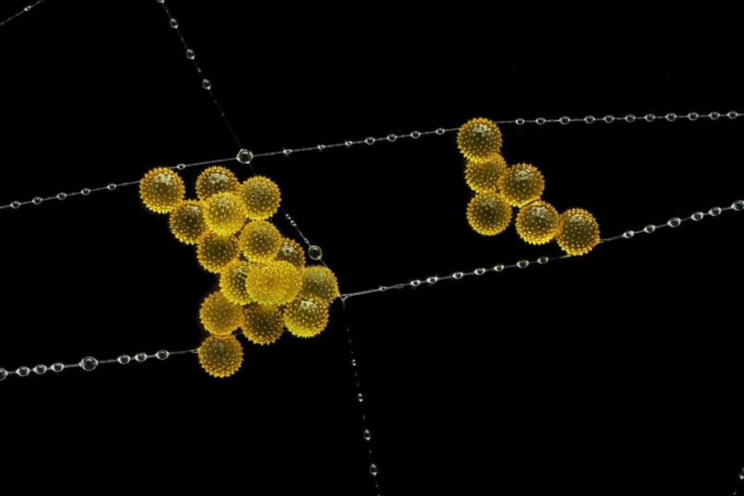 Diseño Sin Título (29)