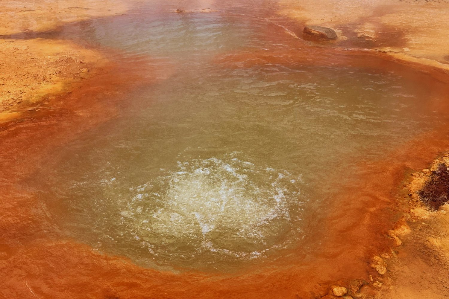 Descubren en Japón manantiales que recrean la Tierra primitiva. Ecosistemas que funcionan igual que hace más de 2.300 millones de años