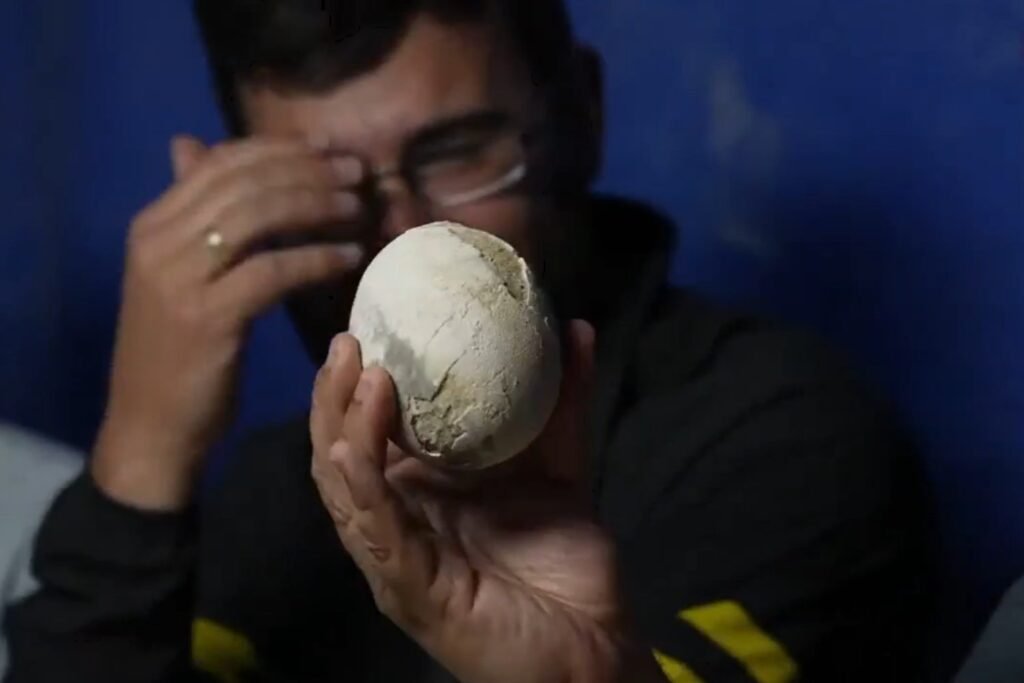 El huevo mejor conservado de un dinosaurio carnívoro aparece en Río Negro: la expedición del Conicet que hace historia en vivo