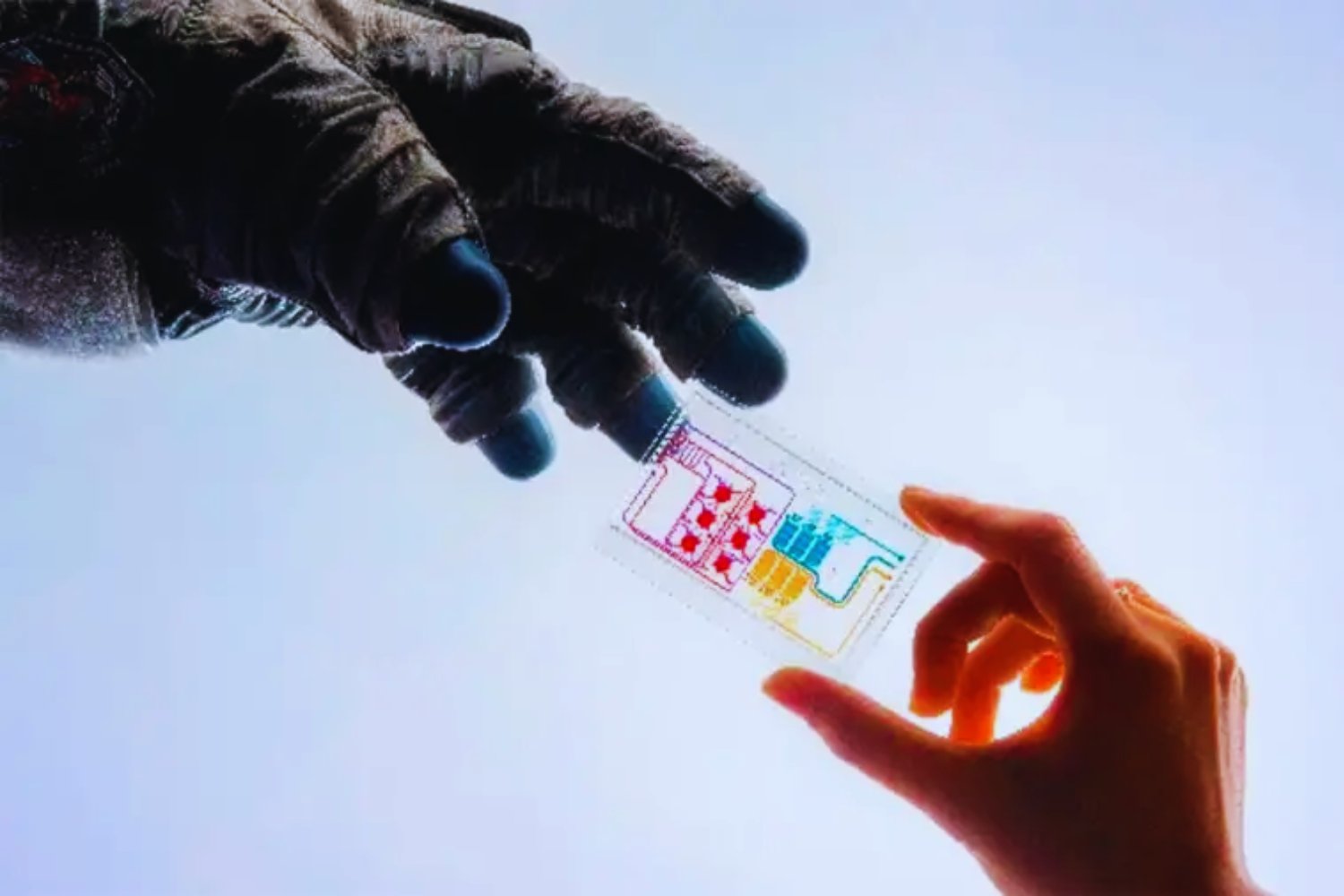 La NASA enviará tejido humano a la Luna. Así funciona AVATAR, el experimento que podría cambiar la medicina espacial (y la terrestre)