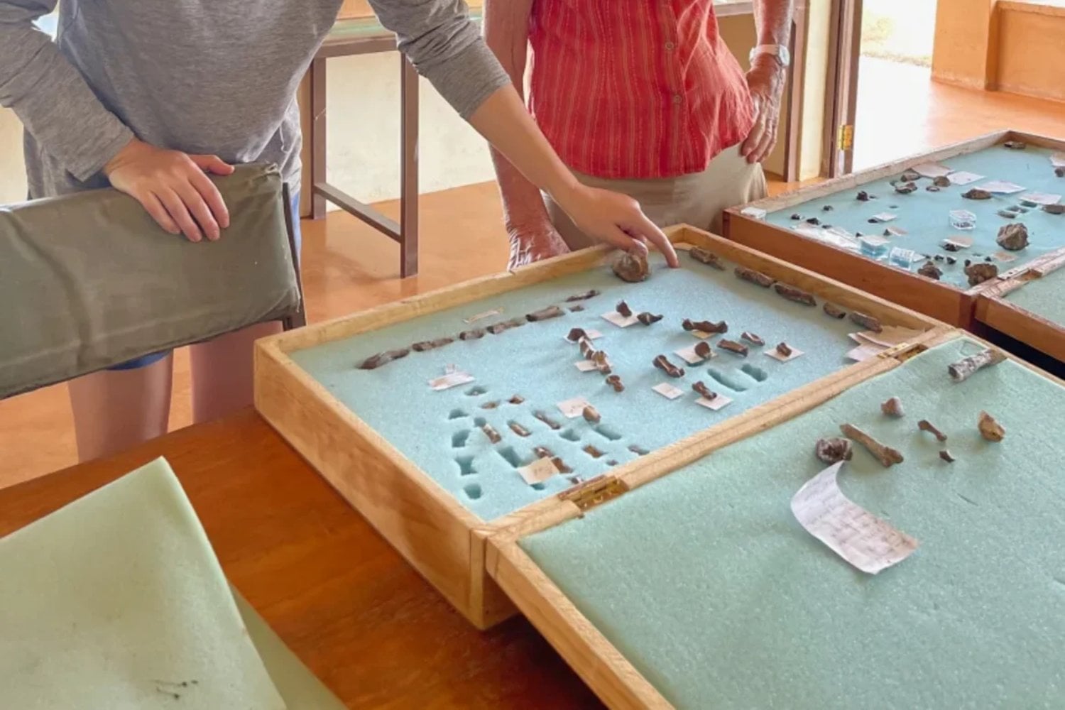 El secreto estaba en sus dedos: un fósil hallado en Kenia revela cómo empezó la destreza humana