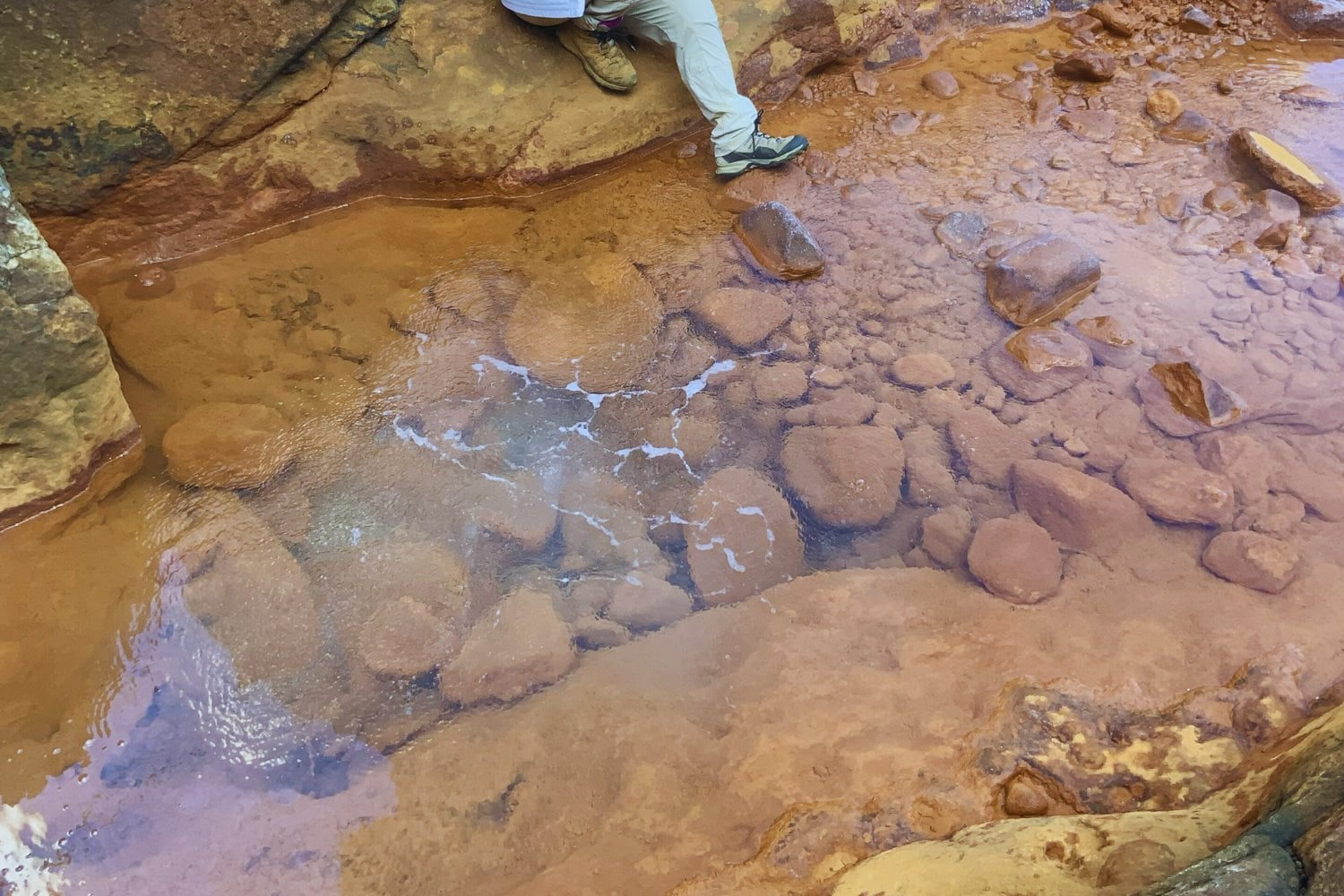 Descubren en Japón manantiales que recrean la Tierra primitiva. Ecosistemas que funcionan igual que hace más de 2.300 millones de años