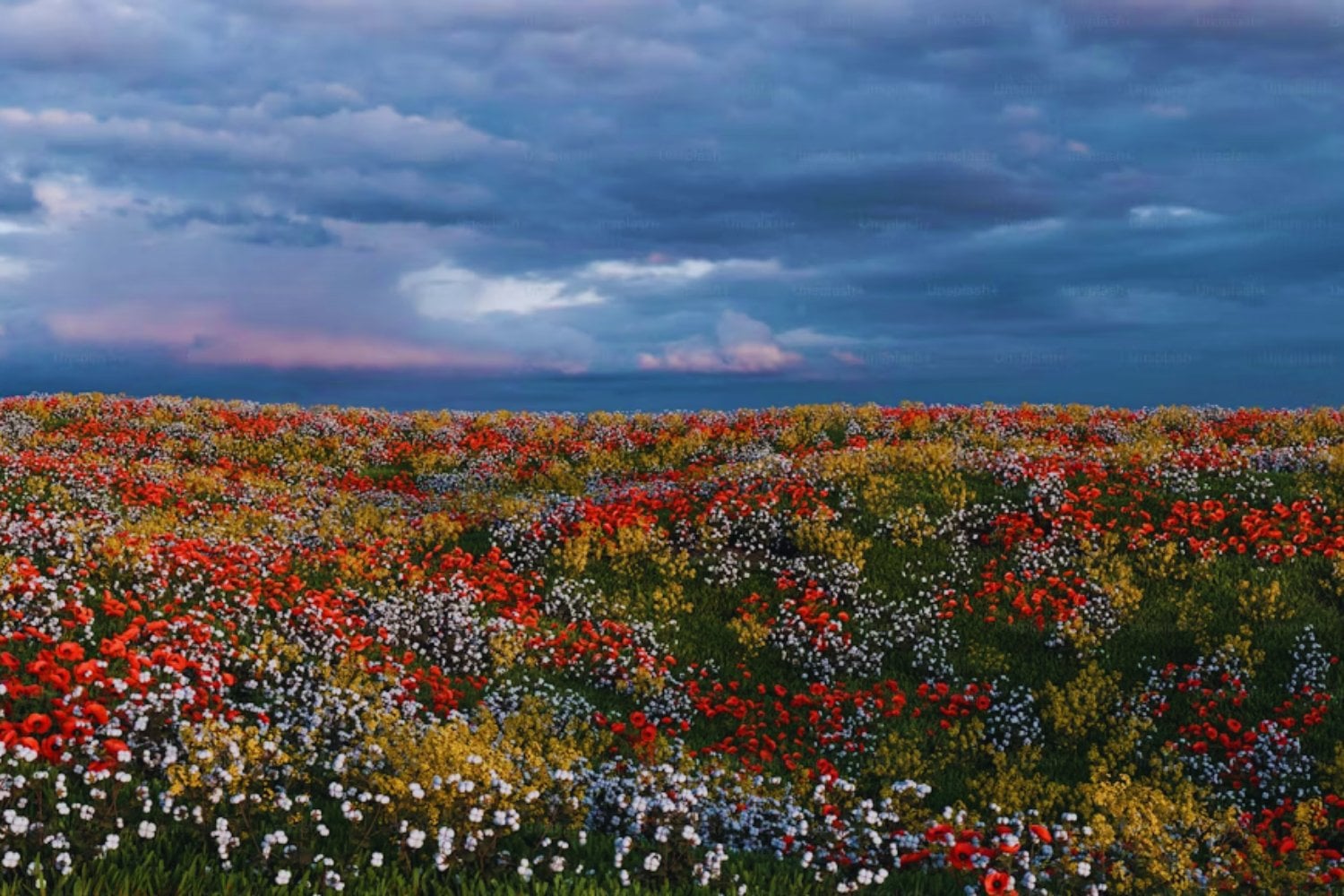 El desierto más árido del mundo florece gracias a El Niño. Más de 200 especies emergen en Atacama