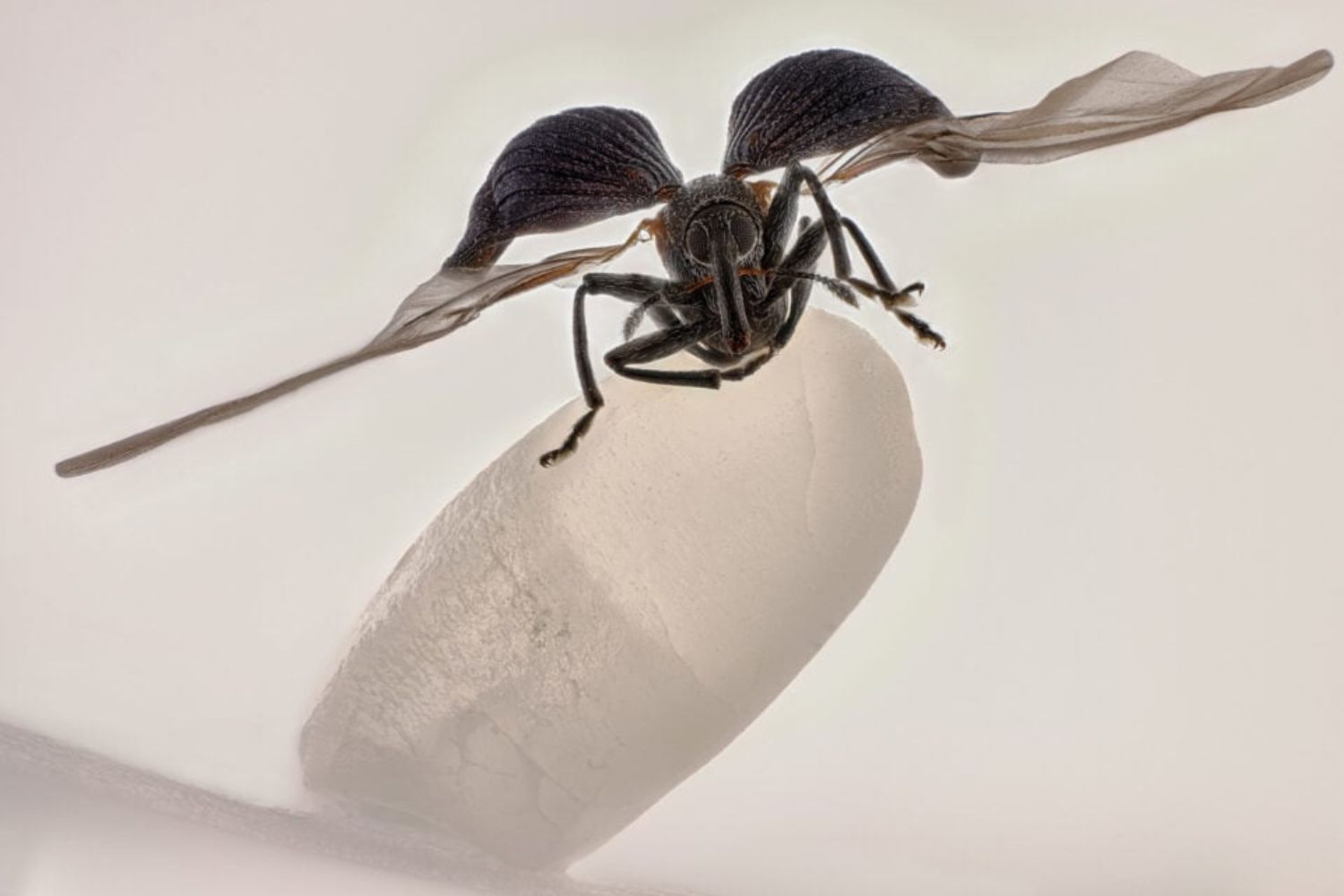 Diseño Sin Título (31)