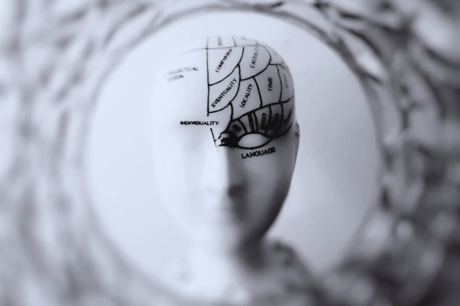 Siete sentidos, no cinco. La sorprendente teoría que redefine los límites del cerebro humano