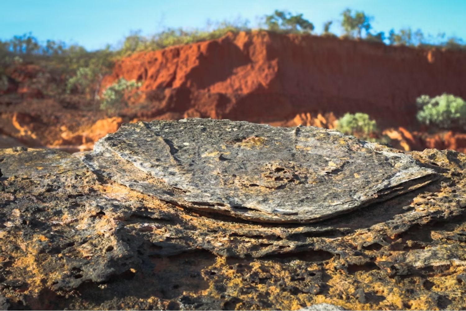 Científicos dan con una de las huellas de dinosaurio más largas jamás registradas. Un rastro de 200 metros revela cómo caminaba un gigante del Jurásico en el corazón de Inglaterra