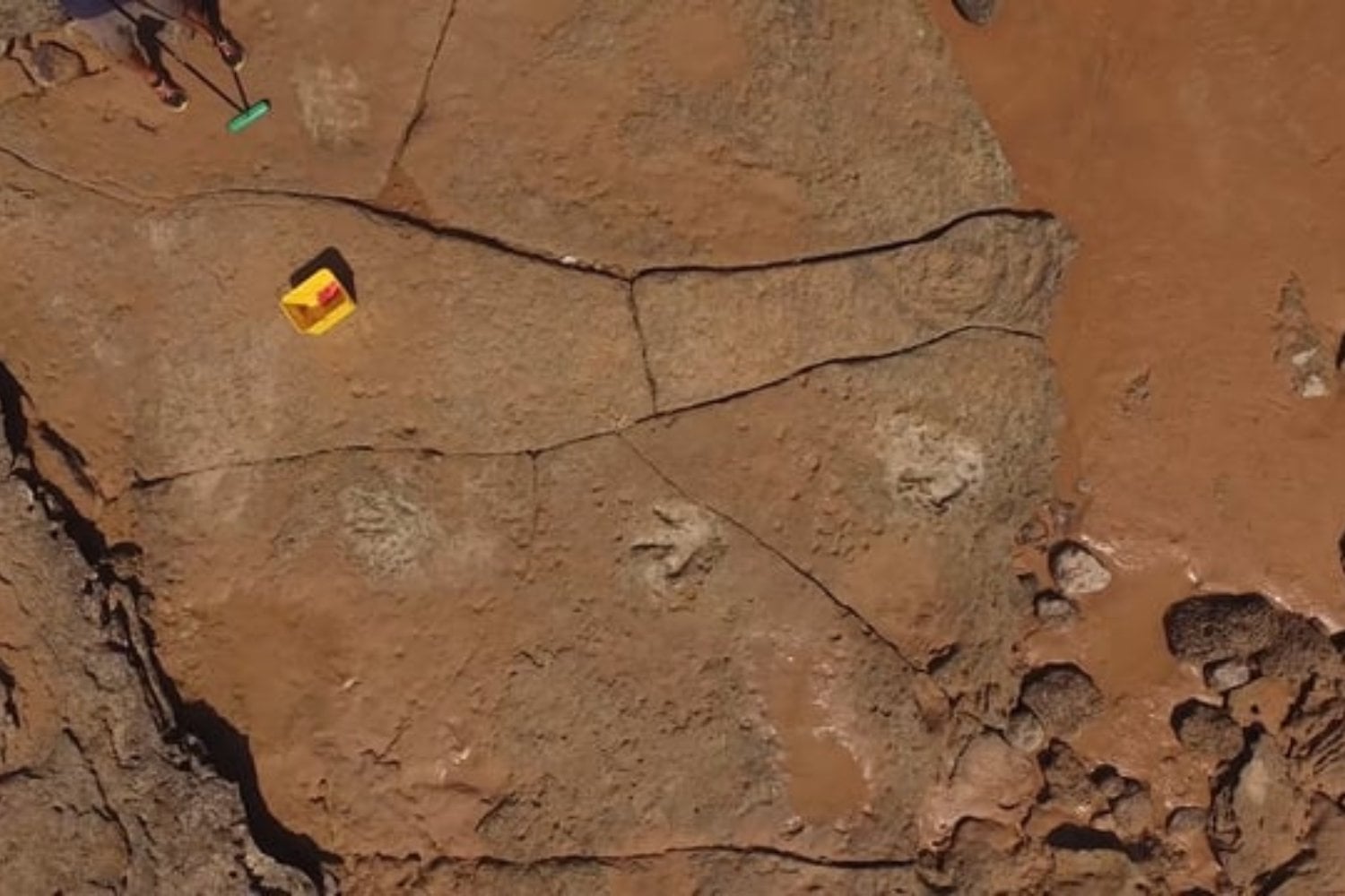 Científicos dan con una de las huellas de dinosaurio más largas jamás registradas. Un rastro de 200 metros revela cómo caminaba un gigante del Jurásico en el corazón de Inglaterra