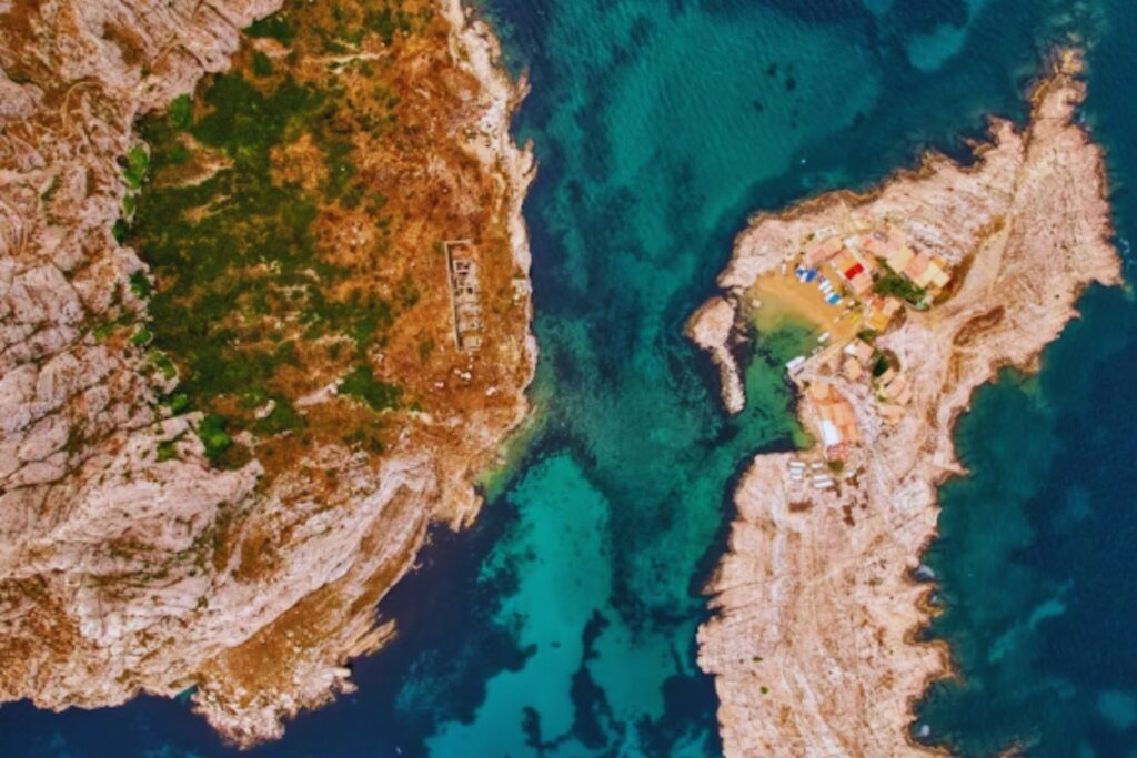 La invasión invisible. Más de 1.200 especies exóticas están transformando la Península Ibérica sin que lo notemos