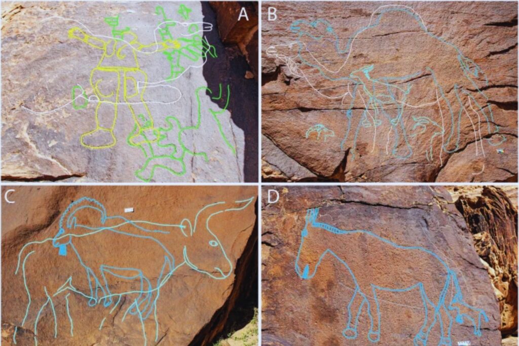 Arabia no siempre fue un desierto. Grabados de camellos y caballos de hace 12.000 años revelan un paisaje fértil y habitado mucho antes de lo que creíamos