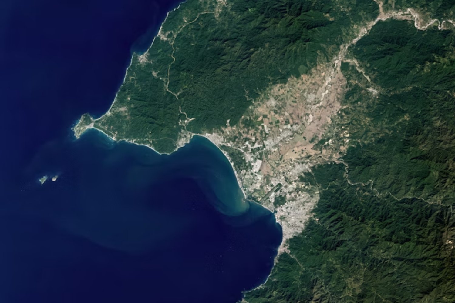 La invasión invisible. Más de 1.200 especies exóticas están transformando la Península Ibérica sin que lo notemos