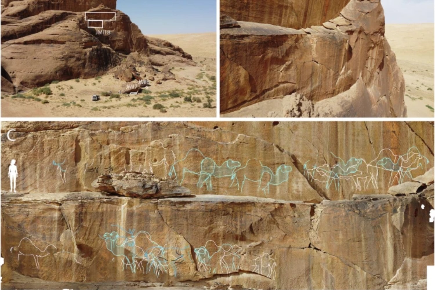 Arabia no siempre fue un desierto. Grabados de camellos y caballos de hace 12.000 años revelan un paisaje fértil y habitado mucho antes de lo que creíamos