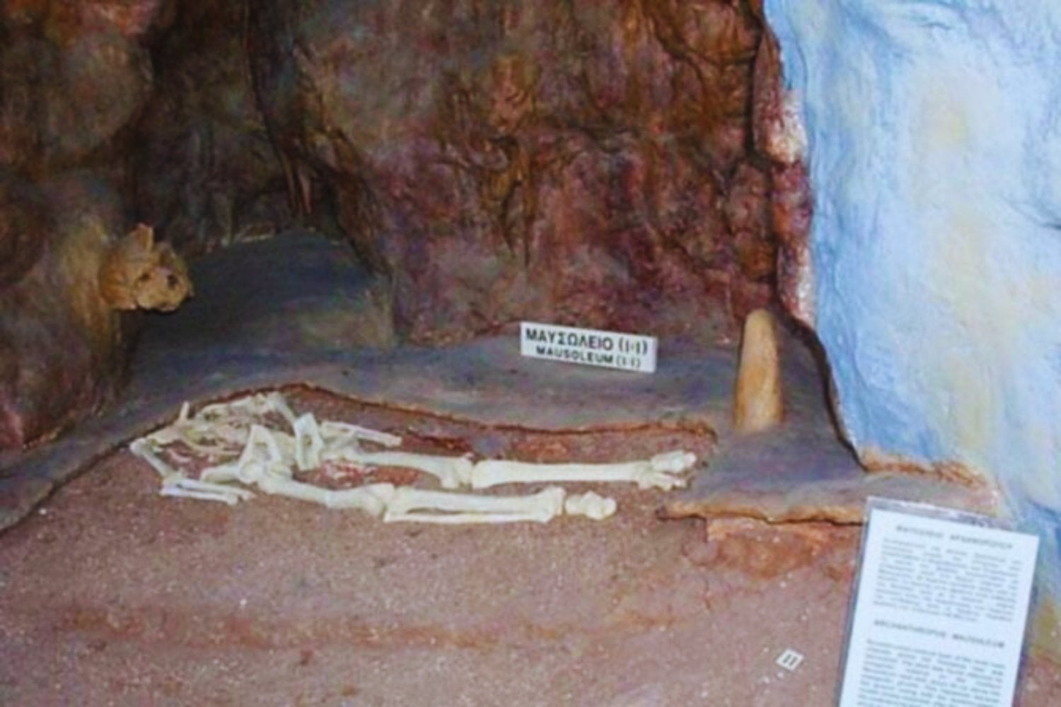 El error en nuestra sangre. Un gen humano pudo condenar a los neandertales a desaparecer lentamente