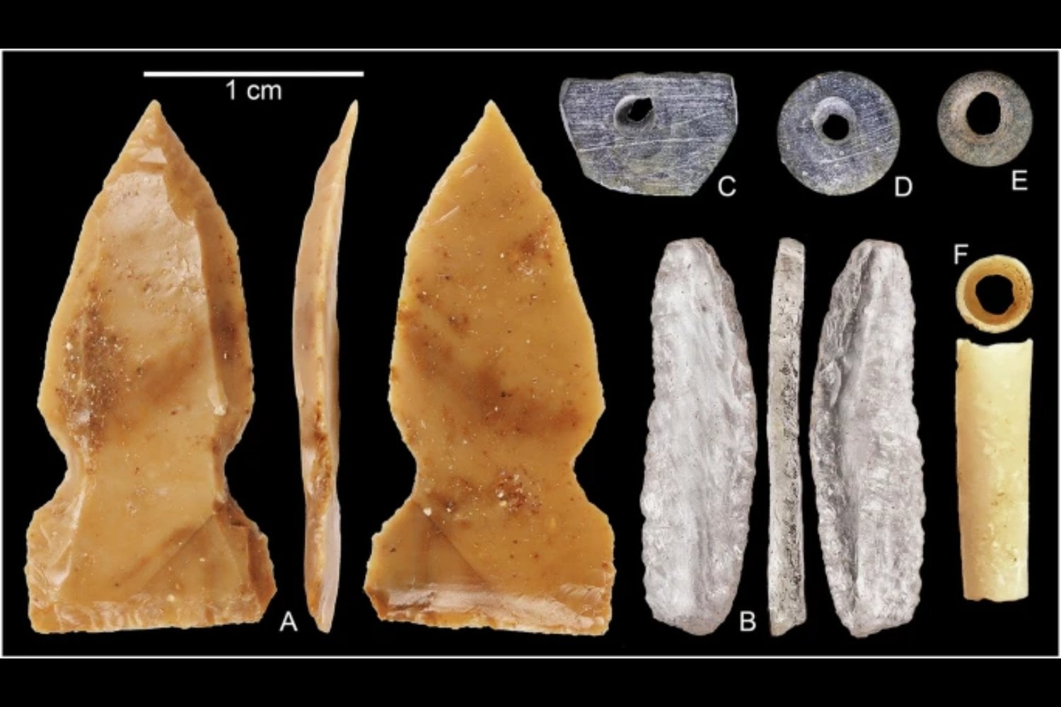 Arabia no siempre fue un desierto. Grabados de camellos y caballos de hace 12.000 años revelan un paisaje fértil y habitado mucho antes de lo que creíamos
