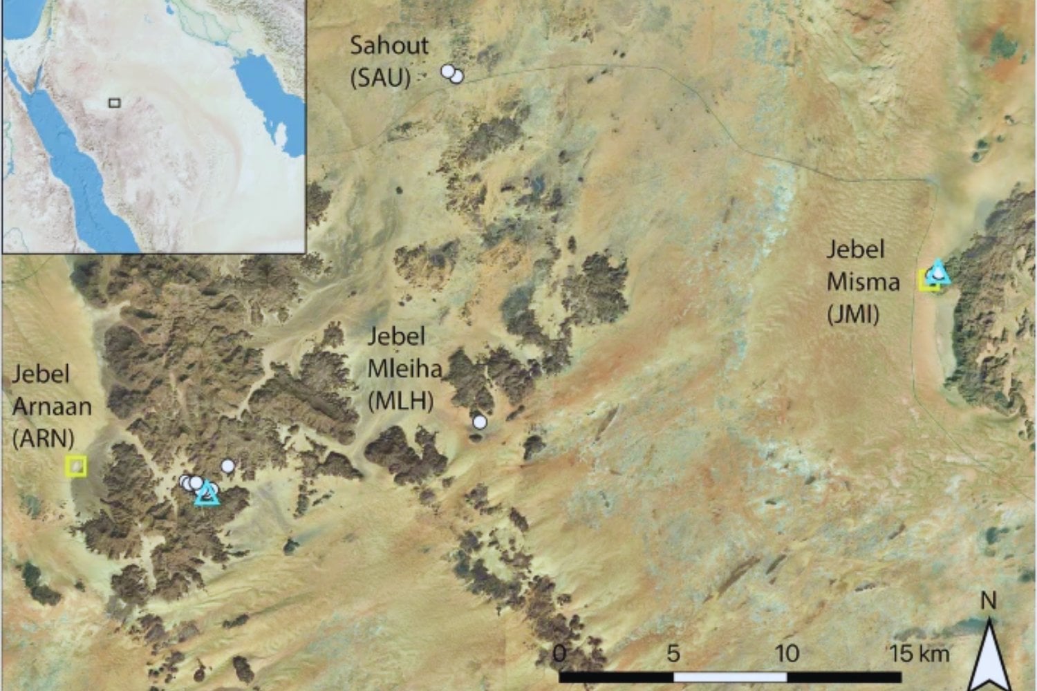 Arabia no siempre fue un desierto. Grabados de camellos y caballos de hace 12.000 años revelan un paisaje fértil y habitado mucho antes de lo que creíamos