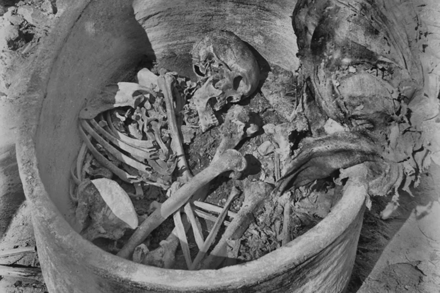 El esqueleto que no encaja del todo en Egipto. Su ADN mezcla África y Mesopotamia y reescribe los orígenes del Reino Antiguo