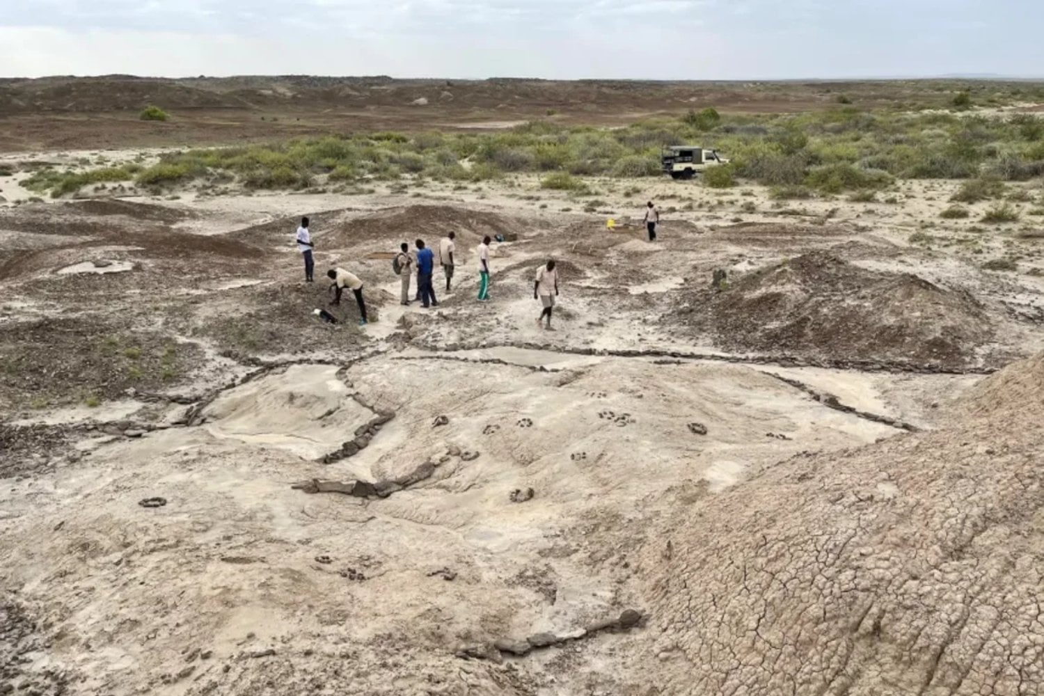 El secreto estaba en sus dedos: un fósil hallado en Kenia revela cómo empezó la destreza humana