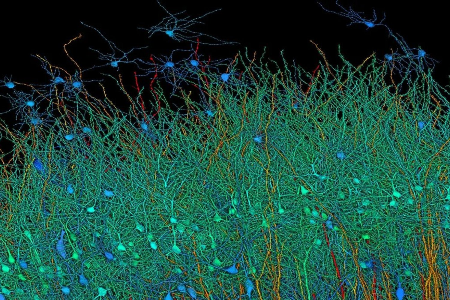Las estrellas del cerebro y el secreto de la memoria emocional: el hallazgo que cambia lo que creíamos saber sobre recordar