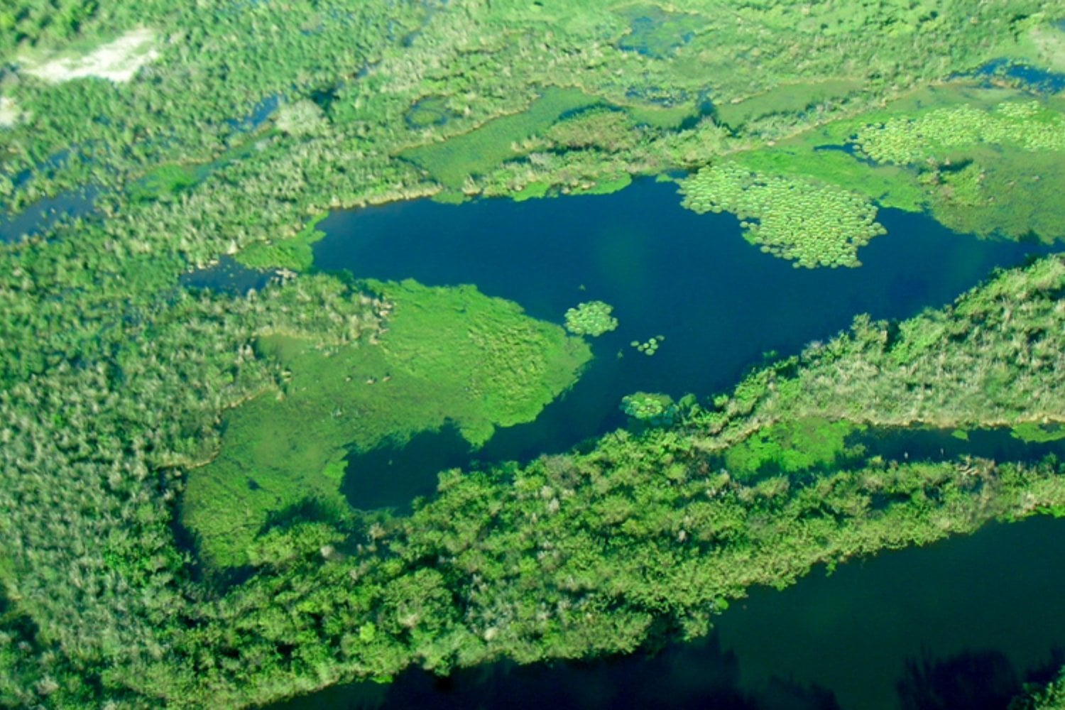 Nadie imaginaba que bajo Sudamérica dormía un océano dulce. El acuífero que guarda el secreto del agua del futuro