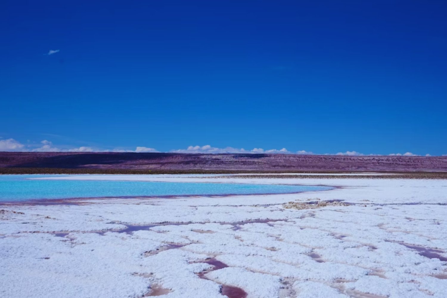 América del Sur tiene el recurso que todos quieren. Estados Unidos y China miden fuerzas por el dominio del litio argentino y chileno