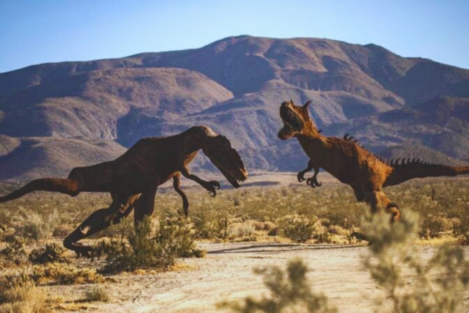 Los dinosaurios no agonizaban. Eran fuertes, diversos y estaban en pleno auge cuando cayó el meteorito