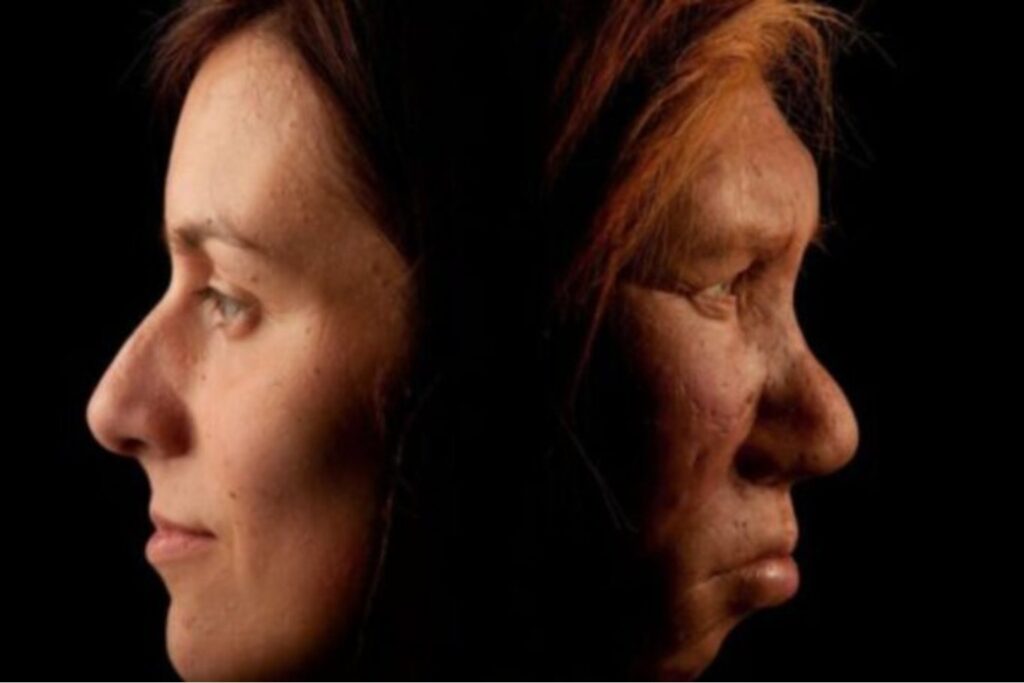 El error en nuestra sangre. Un gen humano pudo condenar a los neandertales a desaparecer lentamente