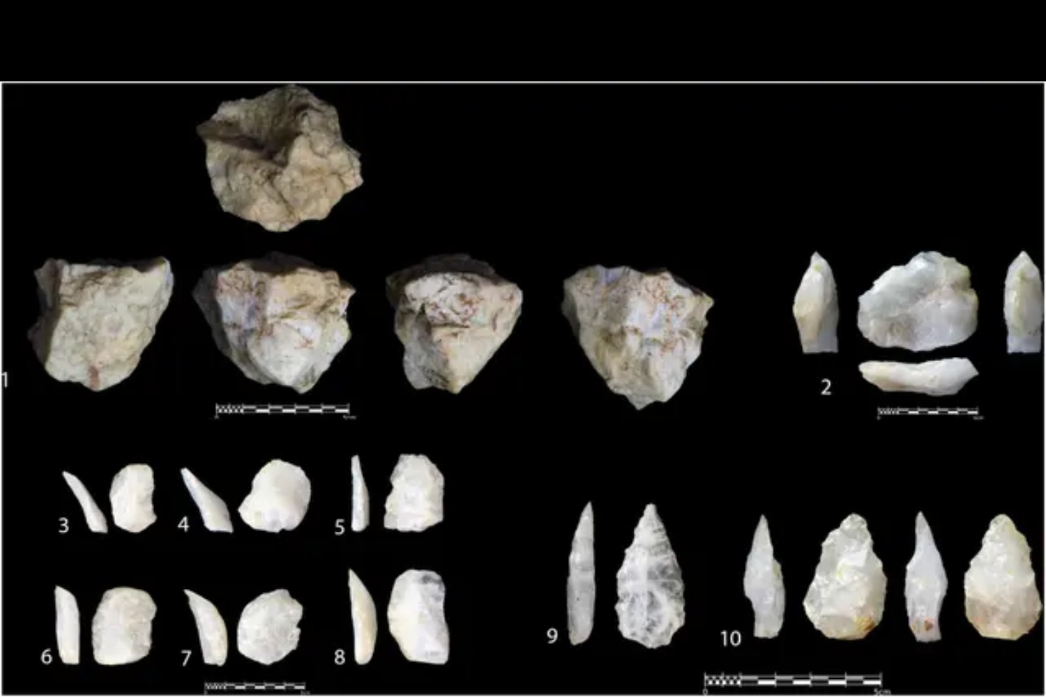 Un hallazgo en África central desafía los modelos evolutivos: los humanos ya vivían en selvas tropicales hace 45.000 años