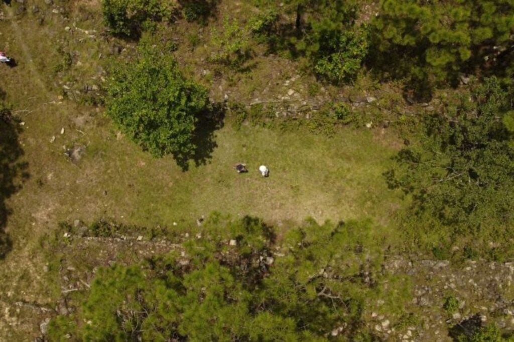 Arqueólogos descubren una ciudad de hace 1.200 años en México. Su cancha de juego de pelota revela el poder ceremonial de una civilización olvidada