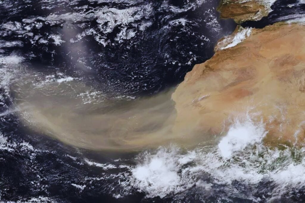 El Sahara es un desierto, pero también una fábrica de vida. Su polvo fertiliza el Atlántico y hasta la selva del Amazonas