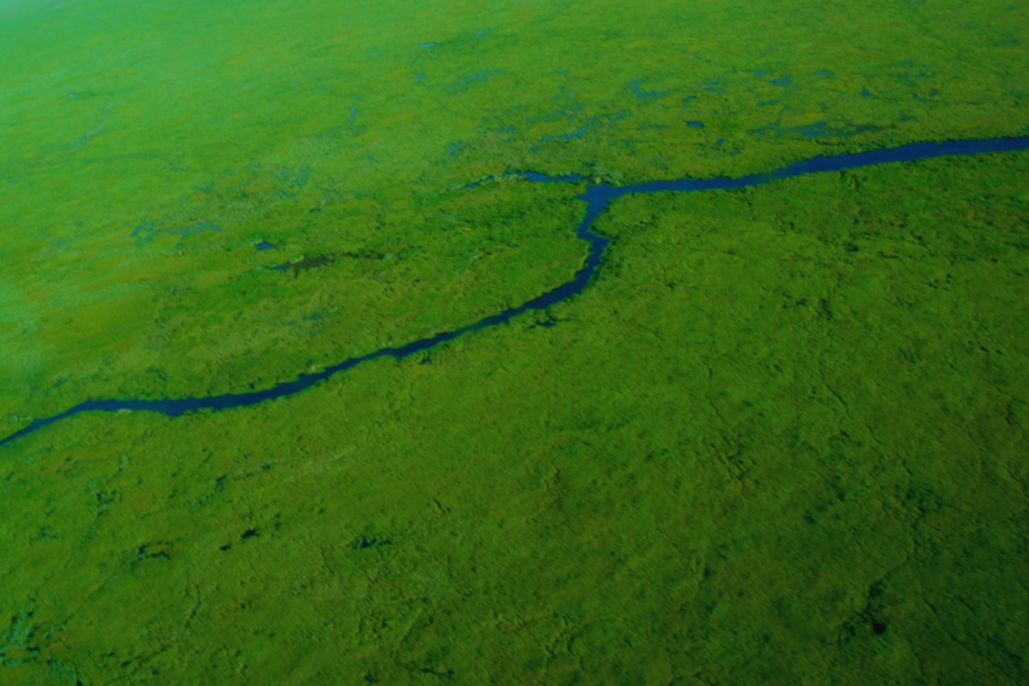 Nadie imaginaba que bajo Sudamérica dormía un océano dulce. El acuífero que guarda el secreto del agua del futuro