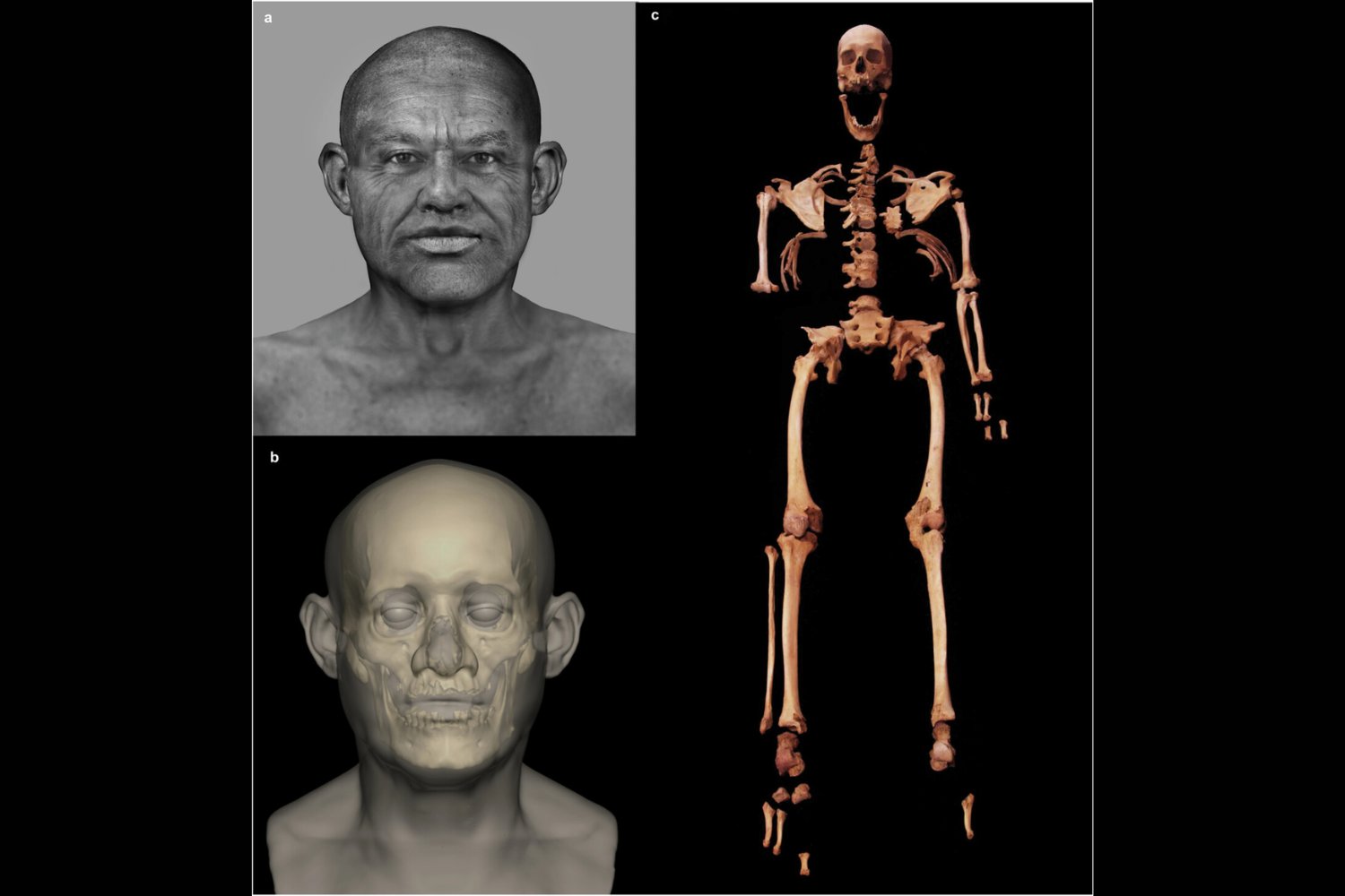 El esqueleto que no encaja del todo en Egipto. Su ADN mezcla África y Mesopotamia y reescribe los orígenes del Reino Antiguo