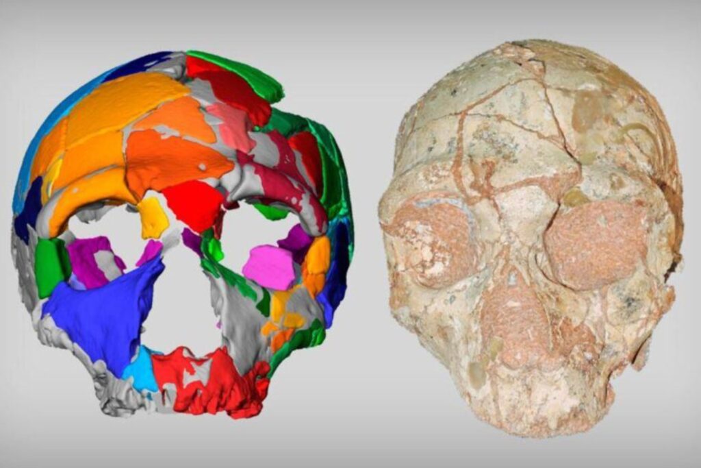Evolucionamos más rápido de lo que la biología permite. La ciencia explica por qué los humanos doblaron el ritmo de los grandes simios