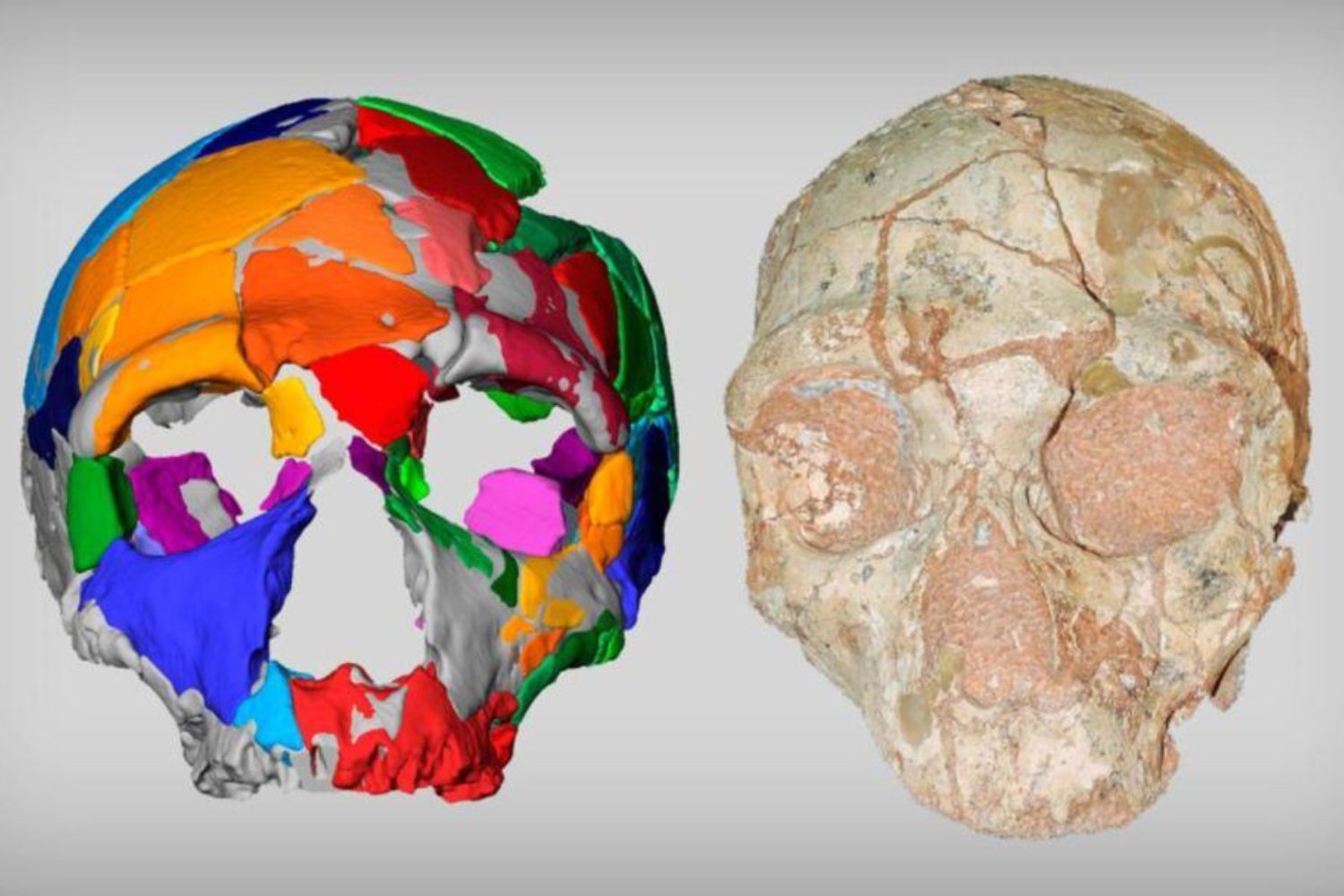 Evolucionamos más rápido de lo que la biología permite. La ciencia explica por qué los humanos doblaron el ritmo de los grandes simios