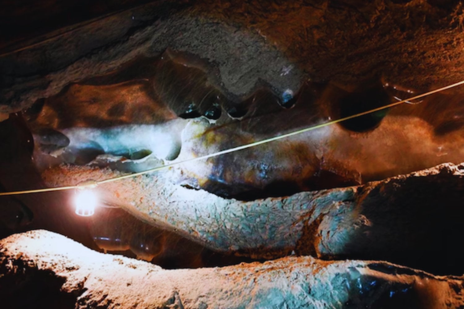 Despiertan microbios atrapados en el hielo durante 40.000 años. Lo primero que hacen es volver a multiplicarse