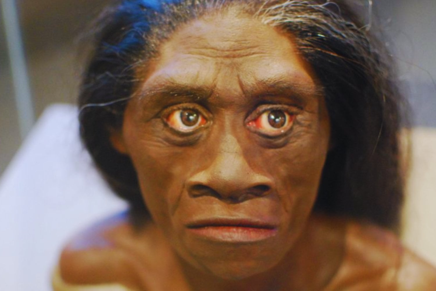 Un linaje diminuto y olvidado. Los “hobbits” humanos que cambiaron la historia de la evolución
